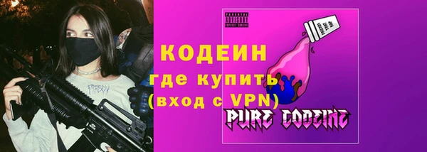 индика Покров