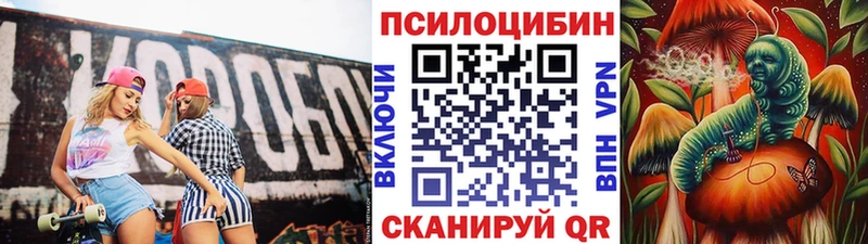 наркошоп  Холмск  МЕГА онион  Галлюциногенные грибы MAGIC MUSHROOMS 